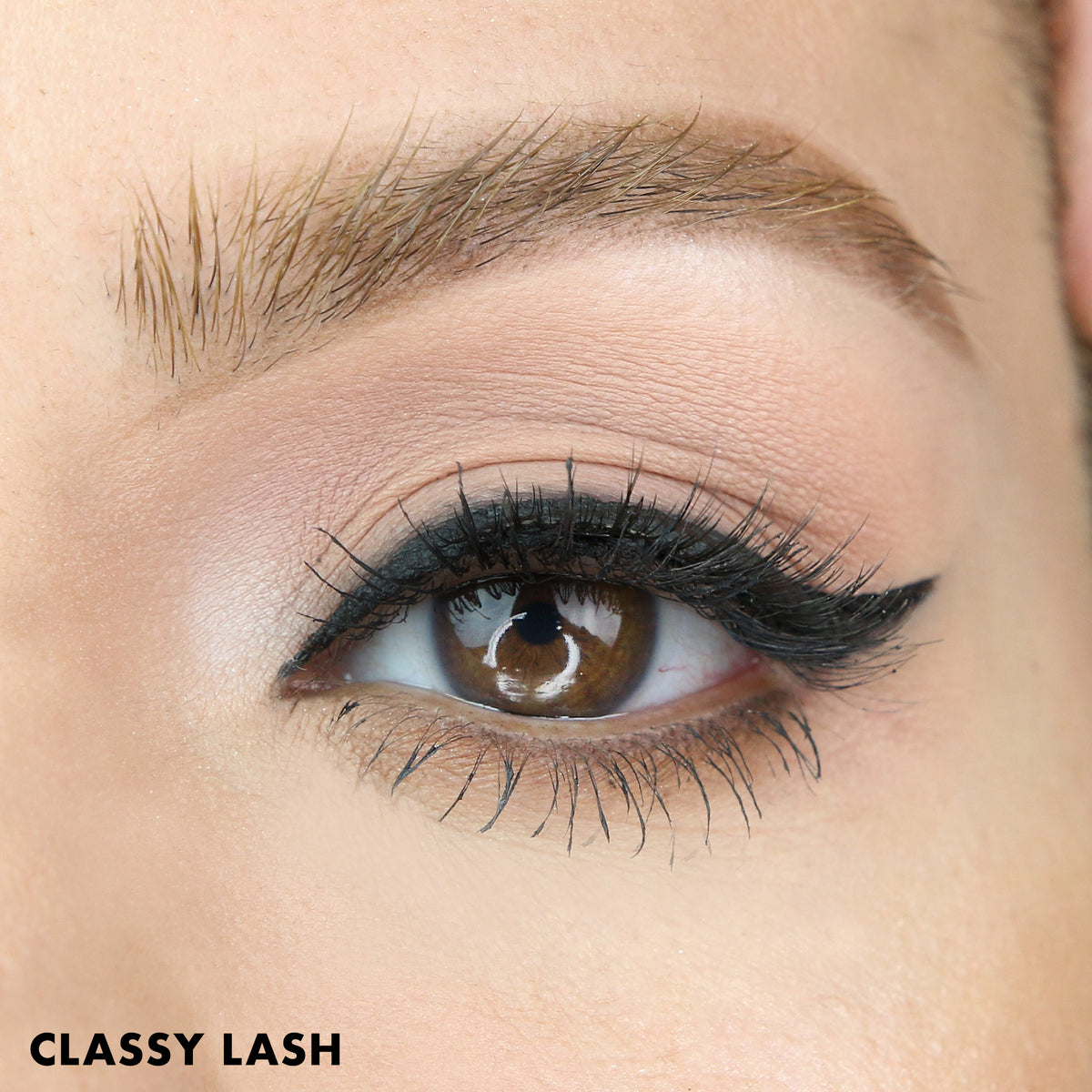 Classy Lash