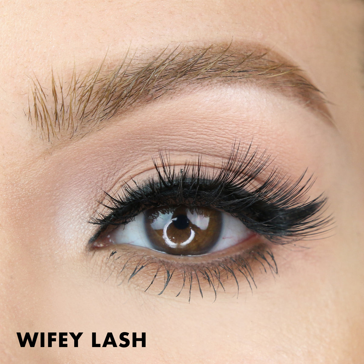 Wifey Lash